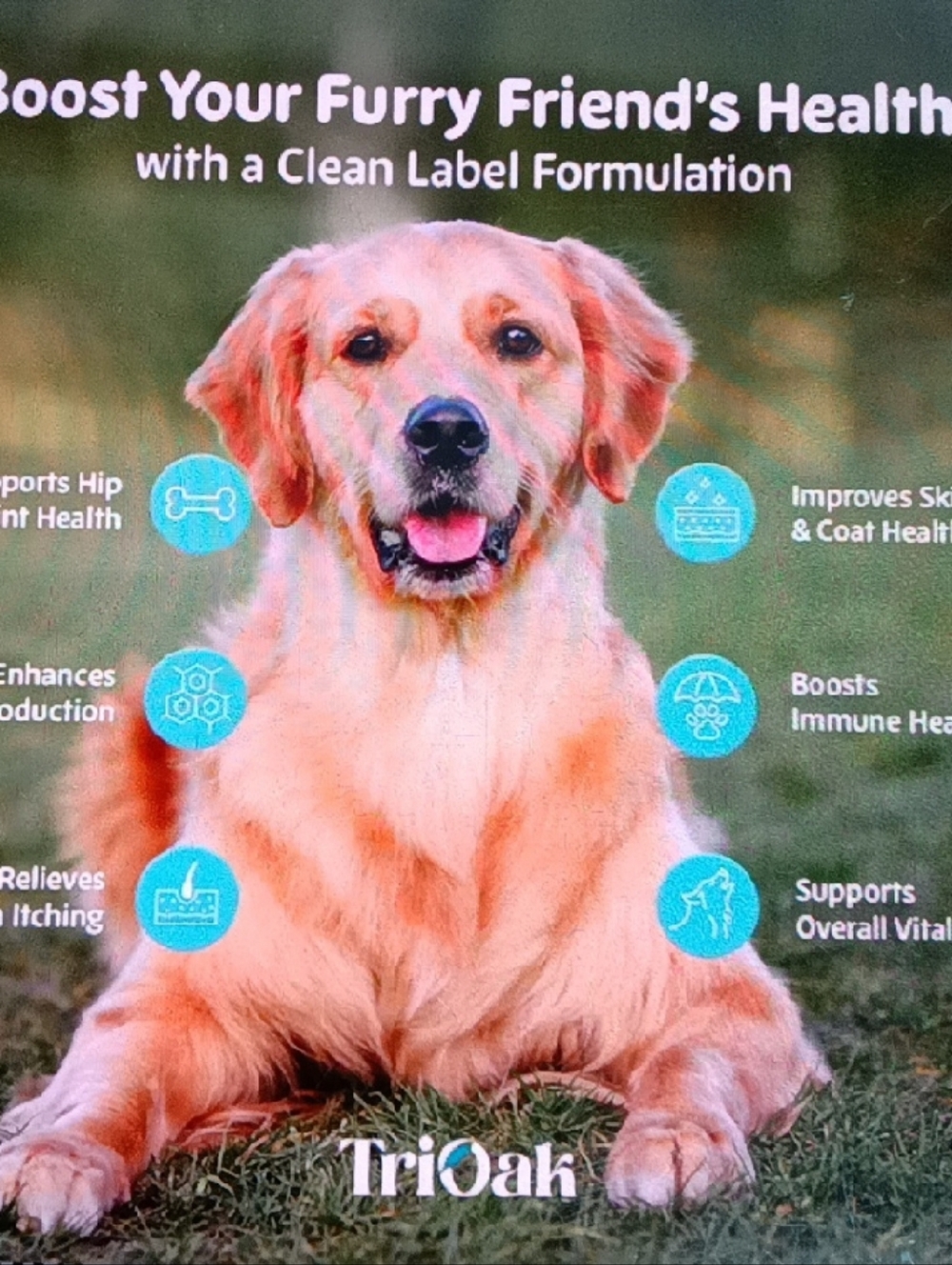 TriOak Liquid Collagen Supplement For 🐶 Dogs - Picture 5 of 6